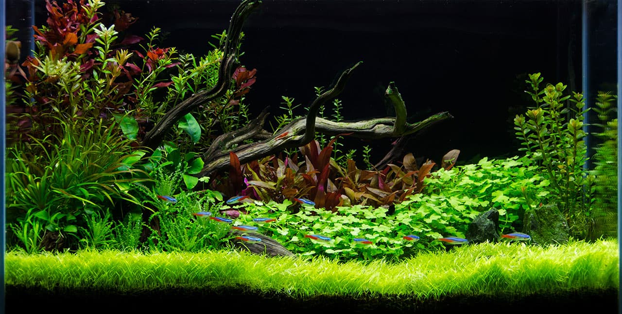 Get Ready to Make Waves!